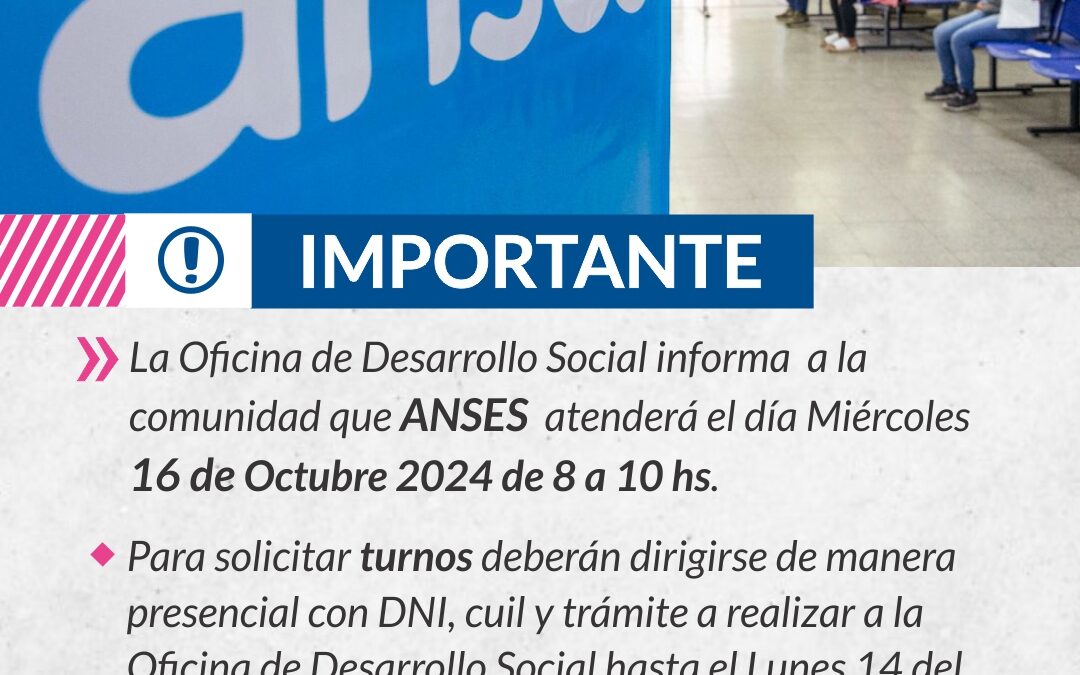 IMPORTANTE: ANSES
