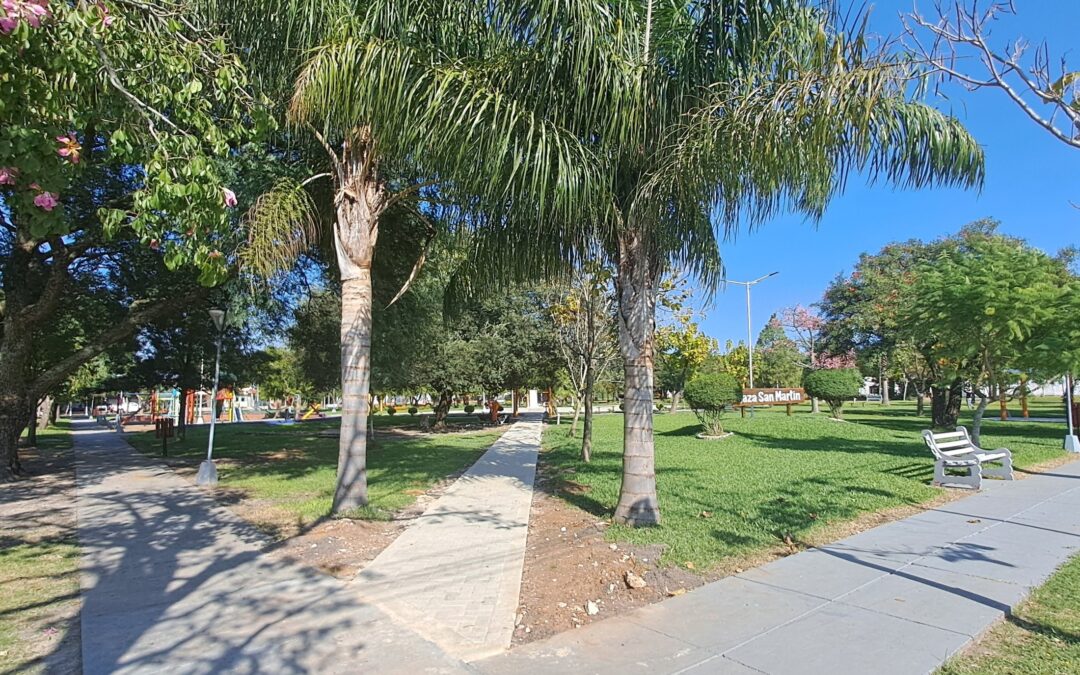 COLOCACIÓN VEREDAS PLAZA SAN MARTÍN