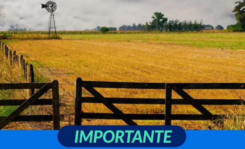 IMPUESTO INMOBILIARIO SUB-RURAL