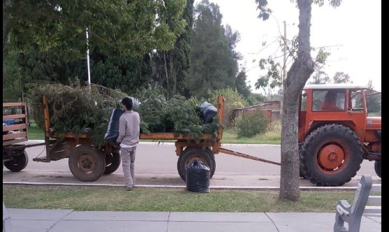 CONSTRUYENDO UNA CIUDAD MÁS LIMPIA