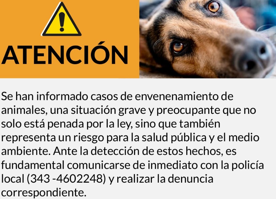 IMPORTANTE: ANIMALES ENVENENADOS