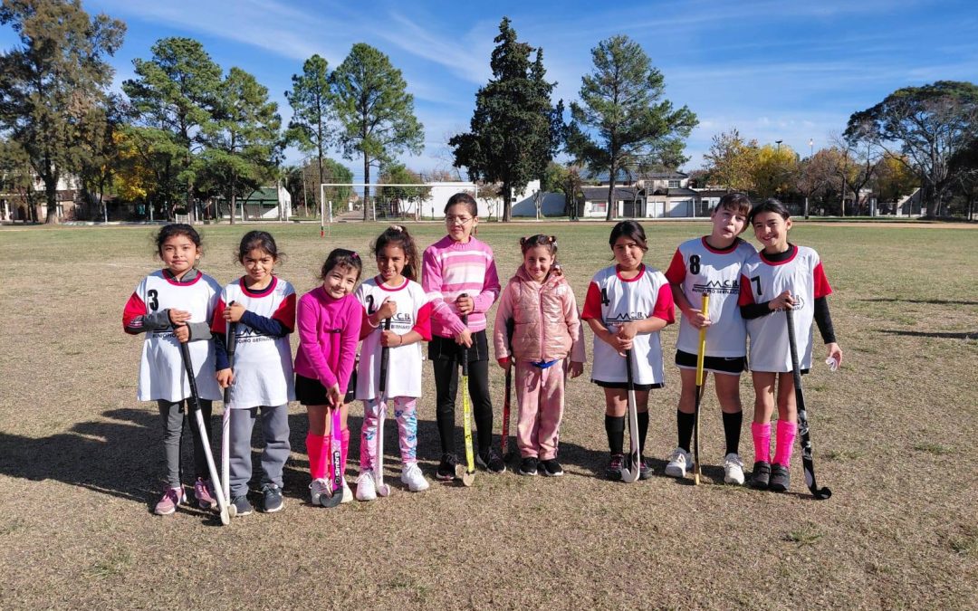 HOCKEY AMISTOSO EN FEDERAL
